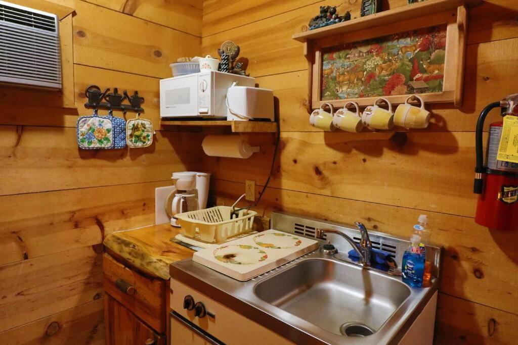 Cute Updated Mountain Cabin Fireplace #3 Helen Luaran gambar