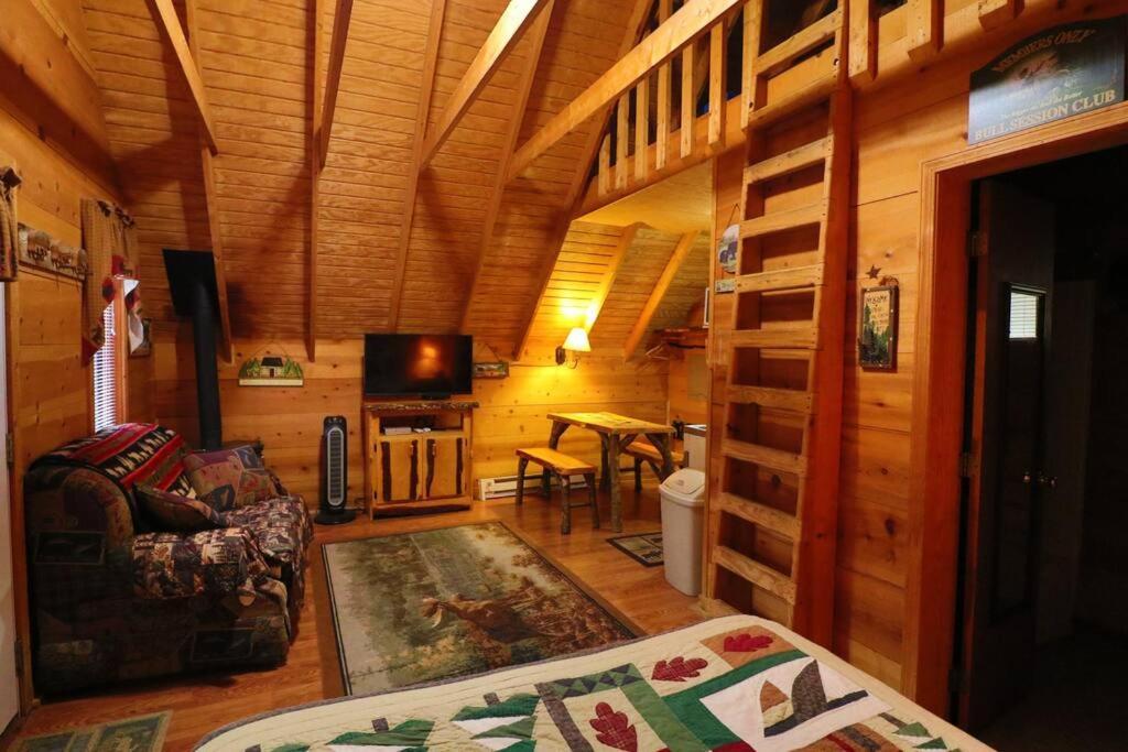 Cute Updated Mountain Cabin Fireplace #3 Helen Luaran gambar